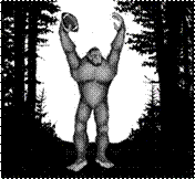 bigfoot football